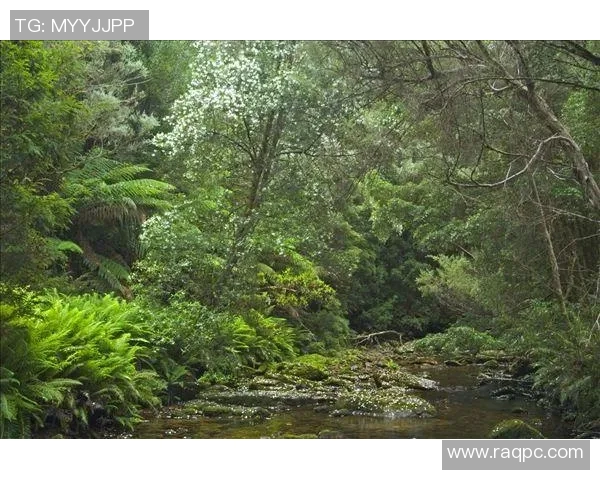 富兰克林的智慧与人生哲学：从科学发现到社会贡献的全景探索