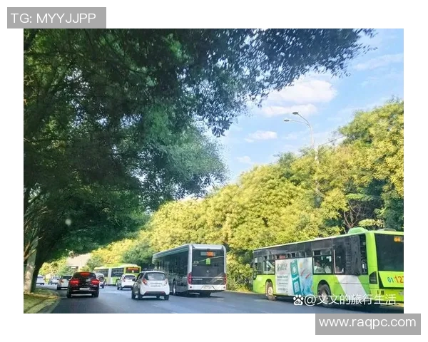 塔什干火车与塔亚文的精彩对比与旅行体验分享