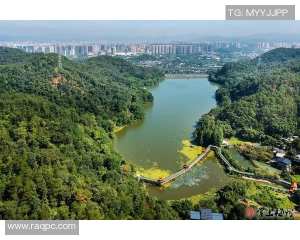 梅江区与梅县区的文化底蕴与发展潜力深度对比分析 梅江区与梅县区的文化底蕴与发展潜力深度对比分析